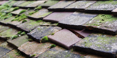 Hayton roof repair costs